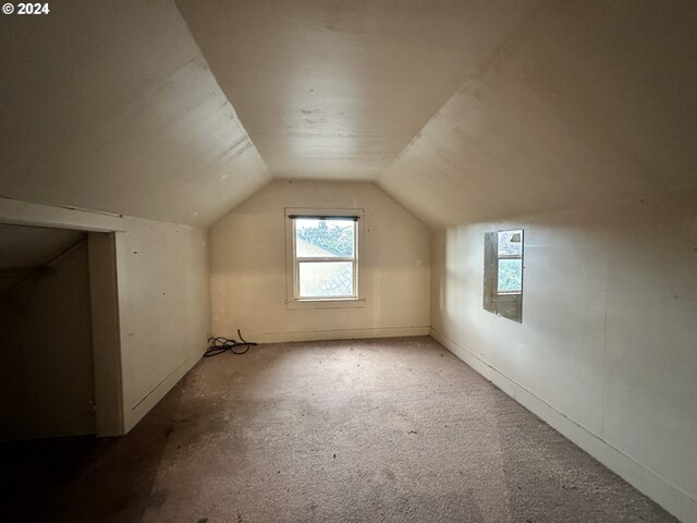 additional living space with lofted ceiling and carpet