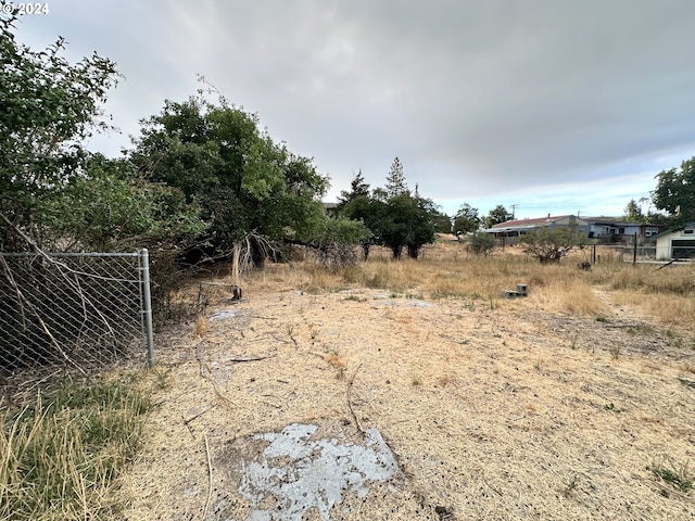 view of local wilderness