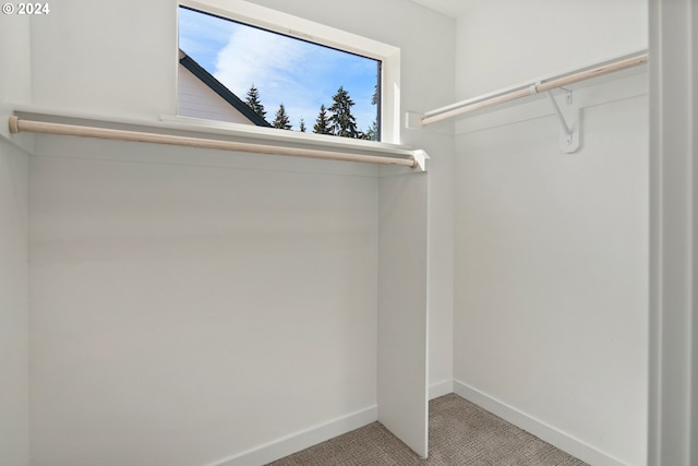 spacious closet with light carpet