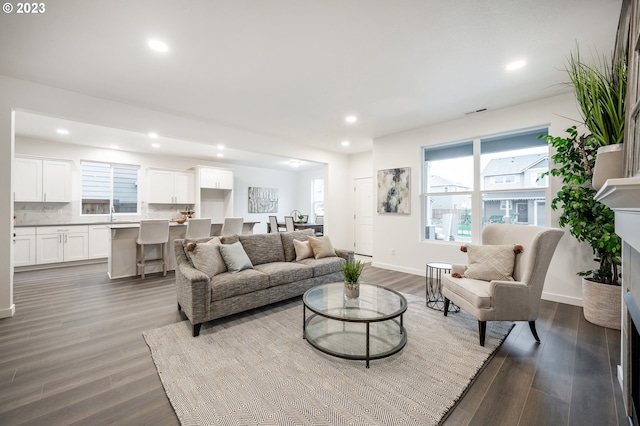 living room with sink and dark wood-type flooring