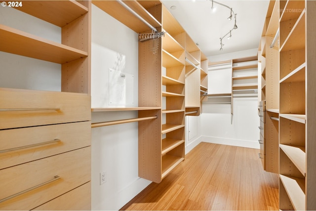 spacious closet featuring wood-type flooring