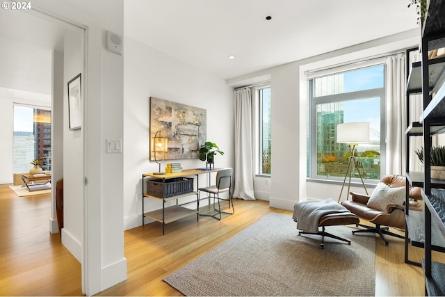 living area with light hardwood / wood-style flooring