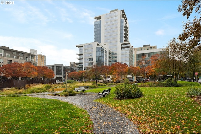 view of community with a yard