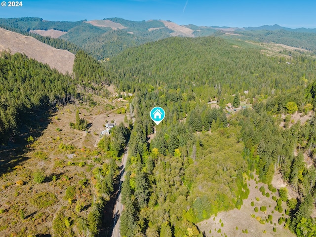 bird's eye view featuring a mountain view