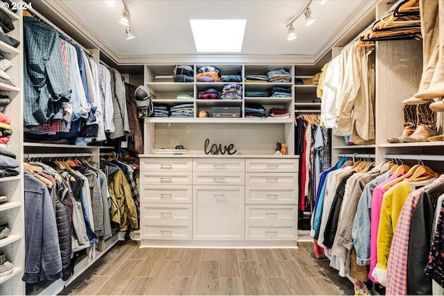 spacious closet with a skylight