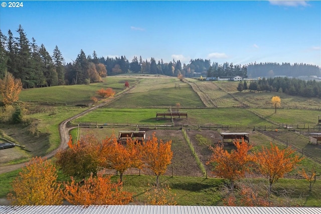 birds eye view of property with a rural view