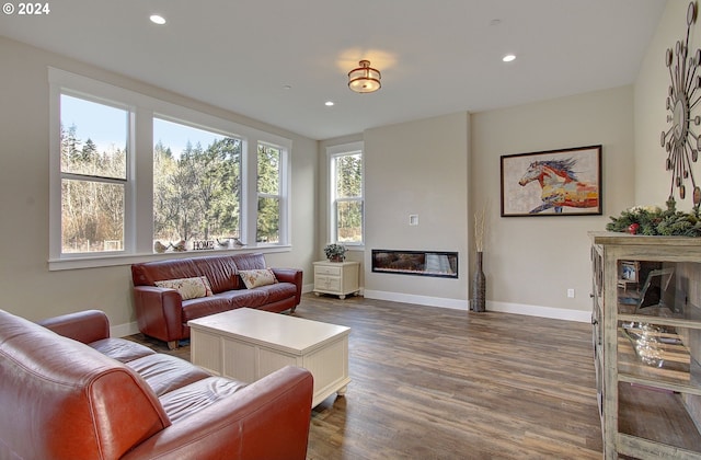 living room featuring hardwood / wood-style floors