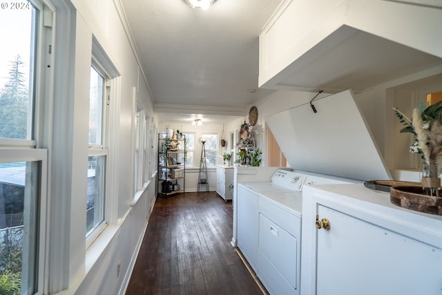 washroom with independent washer and dryer, dark hardwood / wood-style floors, a wealth of natural light, and crown molding