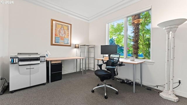 basement featuring light hardwood / wood-style flooring