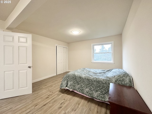 bedroom featuring a closet and hardwood / wood-style flooring