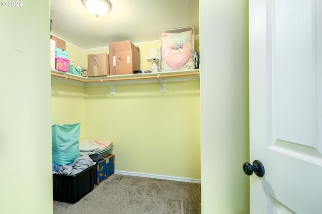 walk in closet with carpet