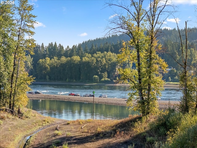 water view featuring a view of trees