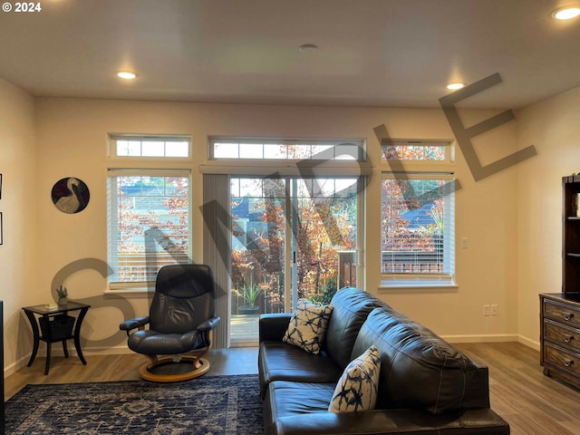 living room featuring a healthy amount of sunlight and wood-type flooring