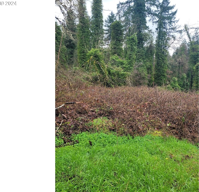 0 S A St, Springfield OR, 97477 land for sale