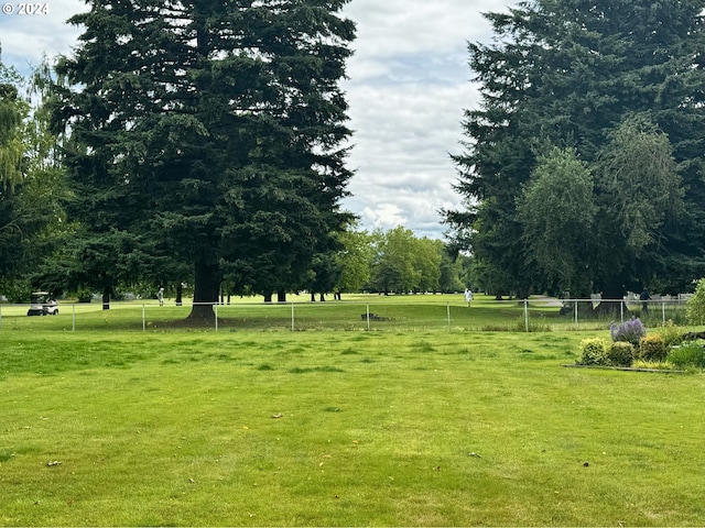 view of home's community with a yard