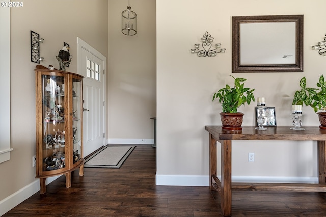 foyer featuring dark wood-type flooring