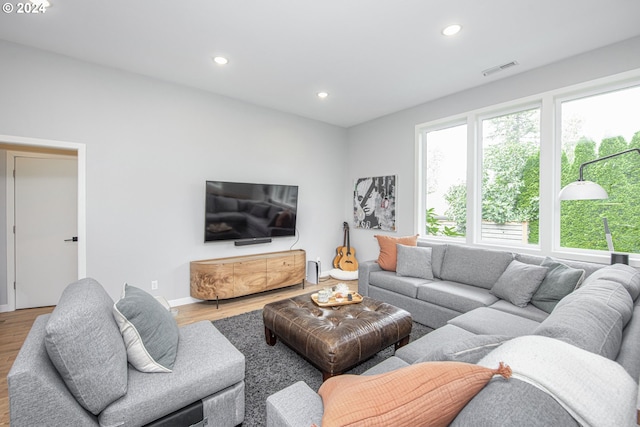 living room featuring wood-type flooring