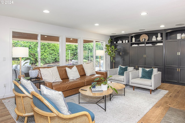 living room featuring light hardwood / wood-style flooring