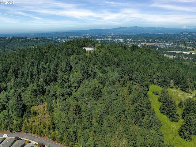 bird's eye view with a mountain view