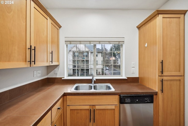 kitchen with stainless steel dishwasher and sink