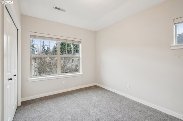 spare room with carpet flooring and a healthy amount of sunlight