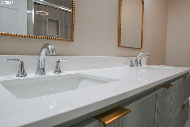 details featuring vanity and a shower with shower door