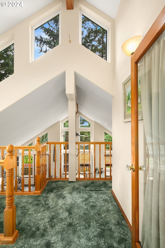 interior space with carpet floors and high vaulted ceiling