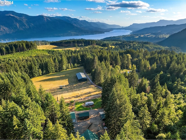 aerial view featuring a water and mountain view and a view of trees