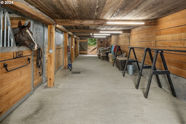 view of horse barn