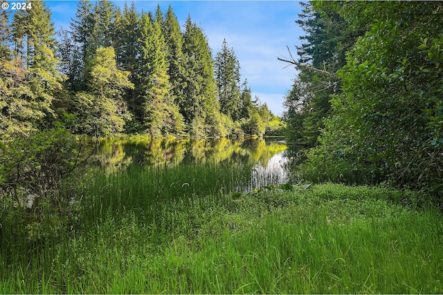 view of landscape featuring a water view