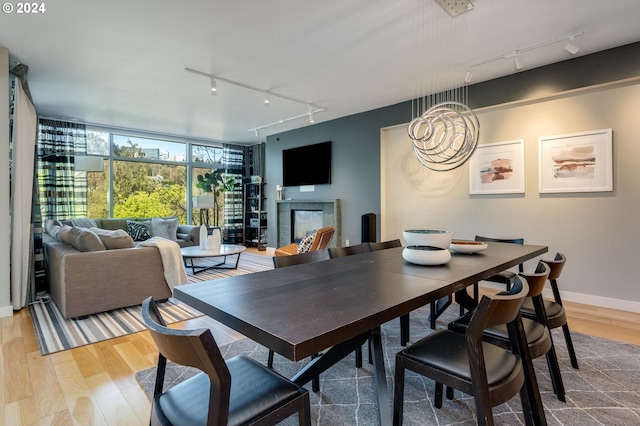 dining room featuring light hardwood / wood-style floors and track lighting