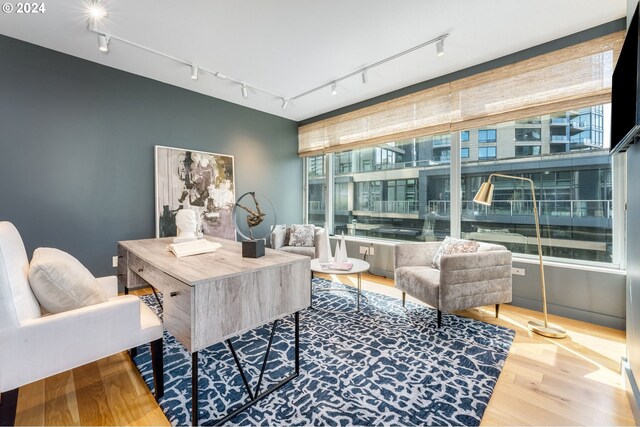 living room with light hardwood / wood-style floors and a wall of windows