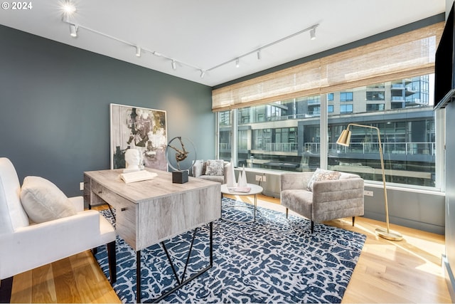 office space featuring light wood-type flooring and track lighting