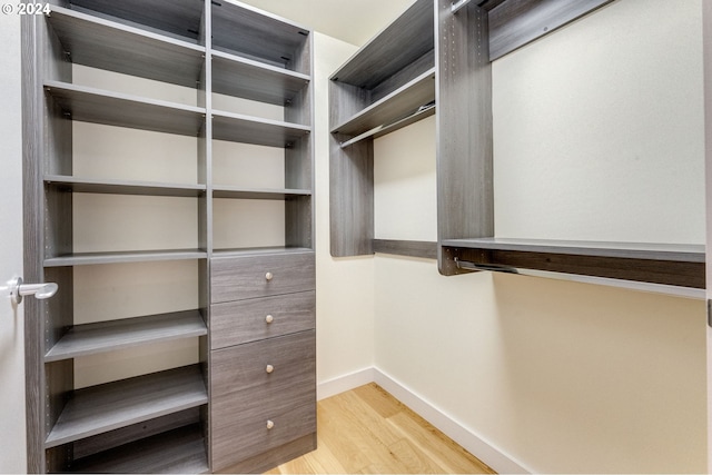 spacious closet featuring light hardwood / wood-style flooring