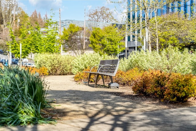 view of property's community