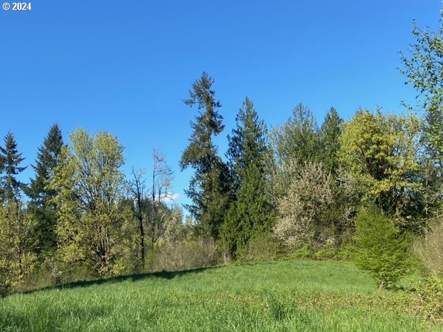 32071 Branch Rd, Scappoose OR, 97056 land for sale