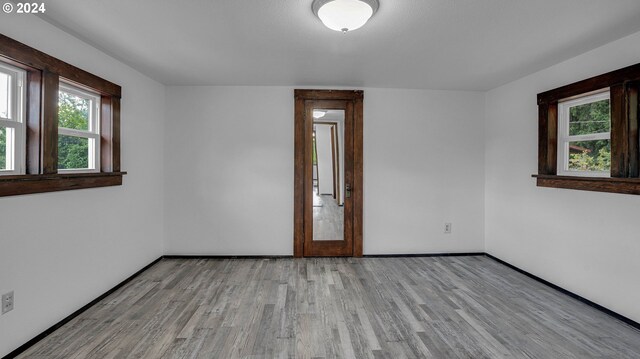 empty room featuring a wealth of natural light and light wood-type flooring