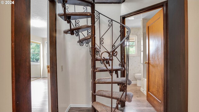 stairway with hardwood / wood-style floors and a wealth of natural light