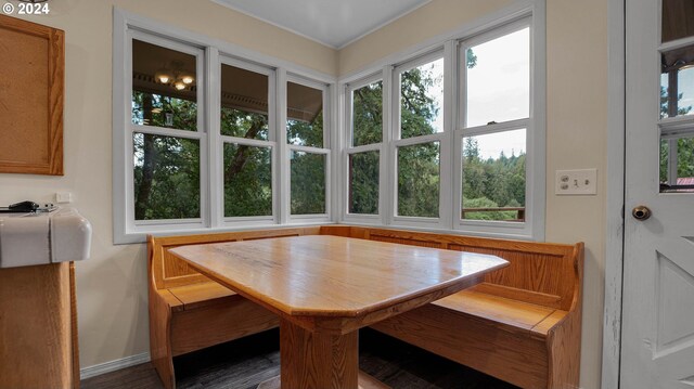 dining room featuring plenty of natural light and dark wood-type flooring