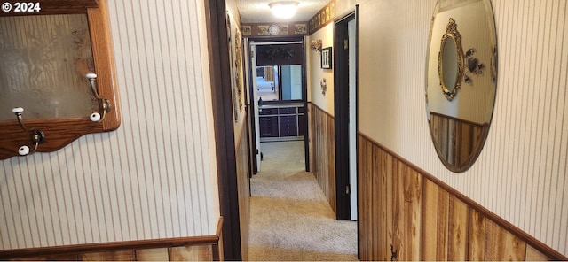 corridor featuring carpet and wooden walls