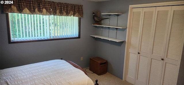 bedroom featuring a closet and multiple windows