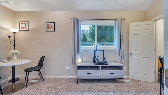 view of carpeted home office