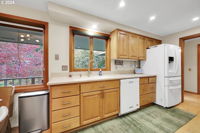 kitchen with sink, white appliances, and hardwood / wood-style flooring