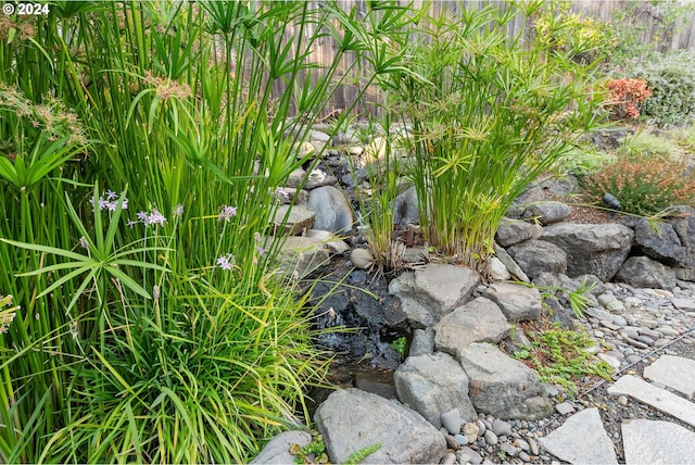 details with a small pond