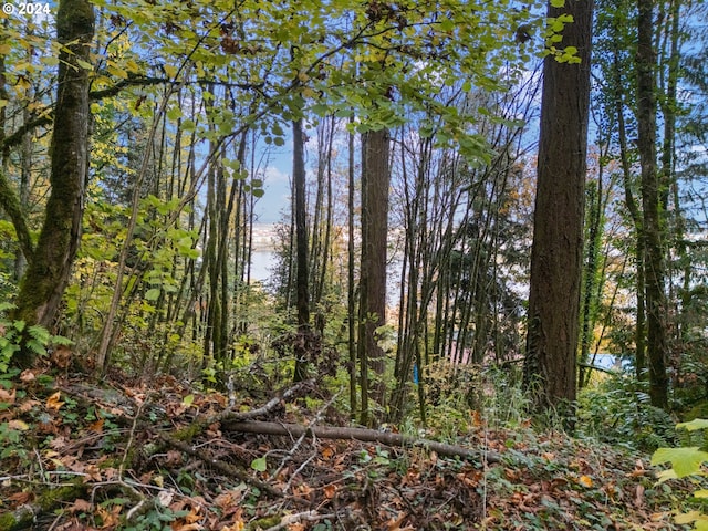 NW Mackay Ave, Portland, OR 97231