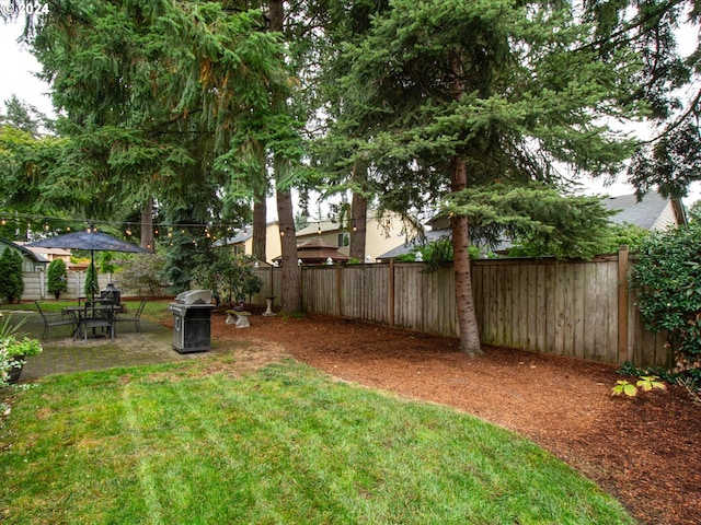 view of yard featuring a patio area