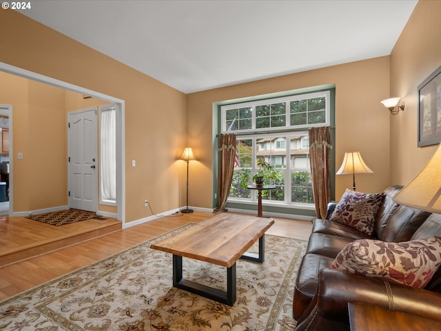 living room featuring light hardwood / wood-style floors