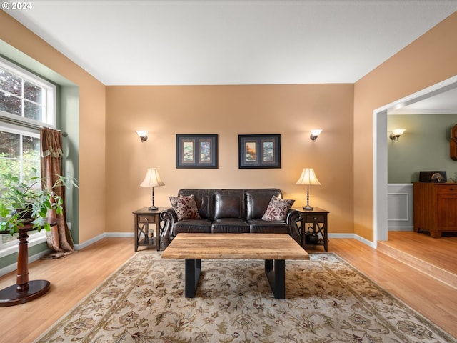 living room featuring hardwood / wood-style floors