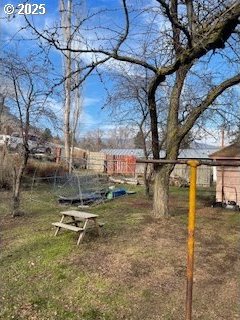 3214 W 10th St, The Dalles, OR 97058 - view of yard