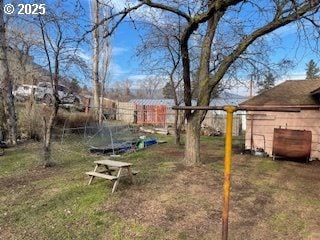 3214 W 10th St, The Dalles, OR 97058 - view of yard
